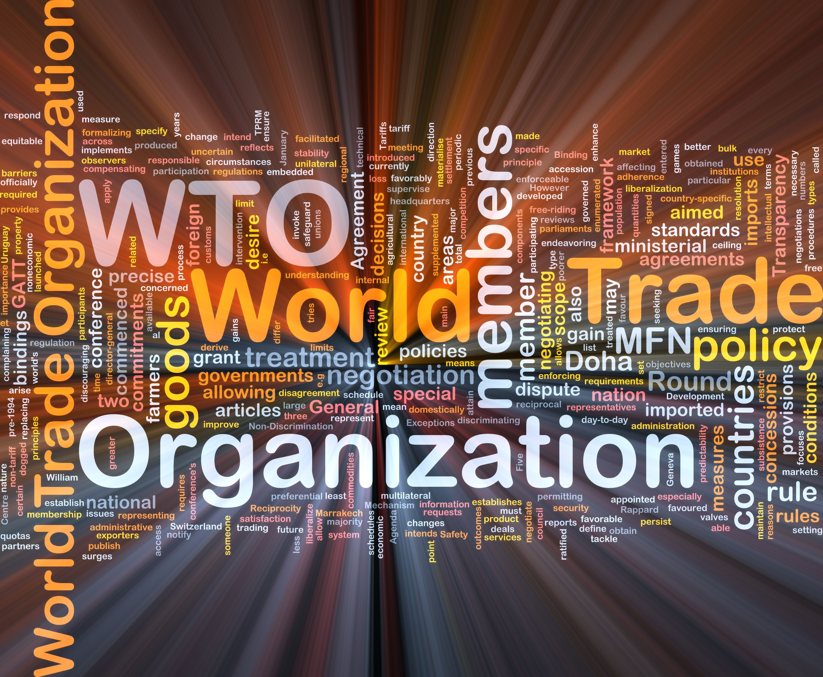 WTO-Word-Cloud