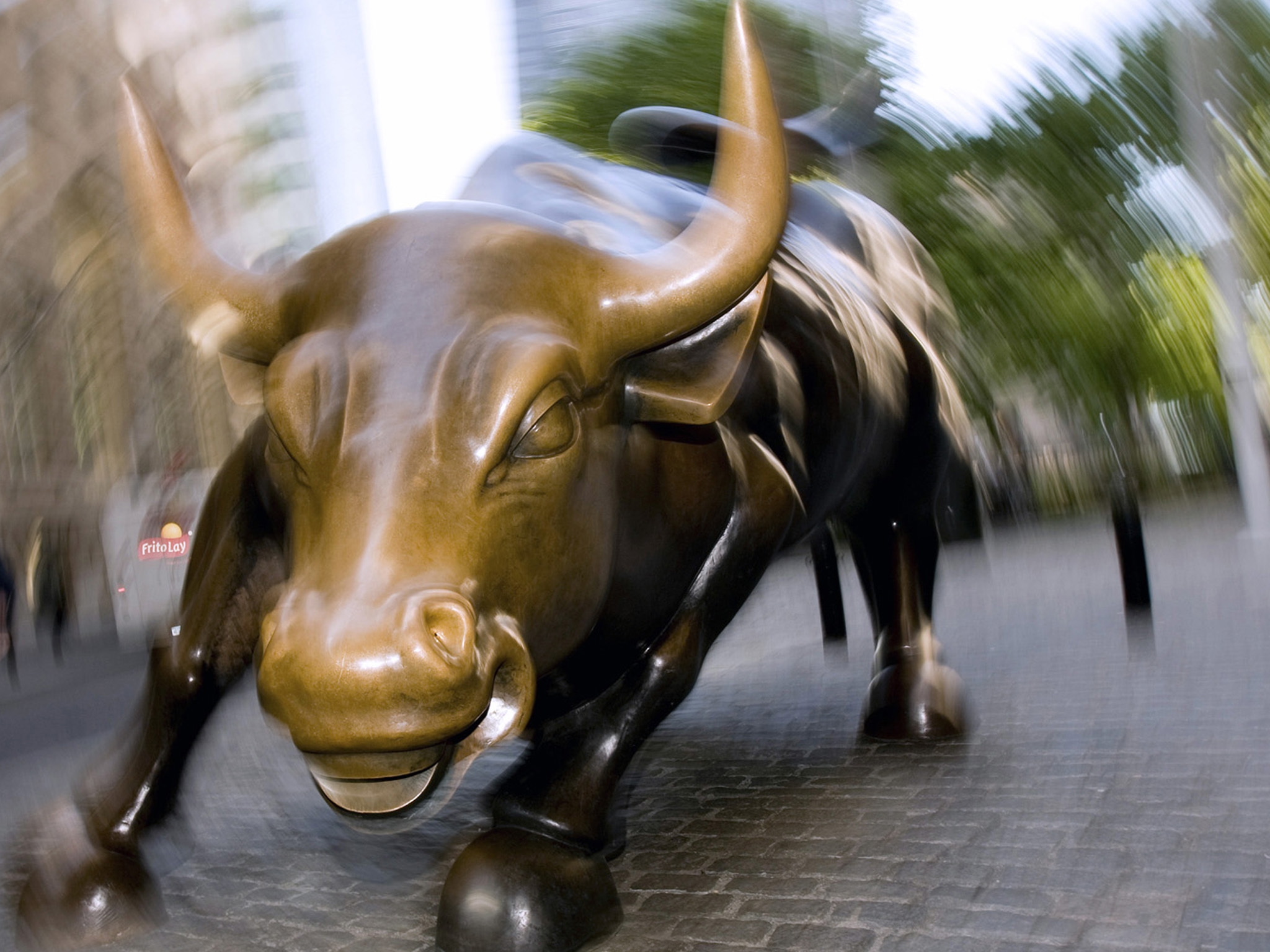 Wall-Street-bull