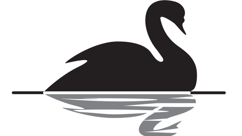 black-swan1